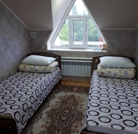 پانسیون Traveller