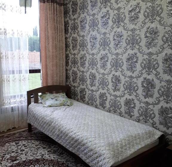 پانسیون Traveller