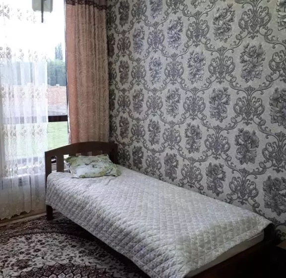 پانسیون Traveller