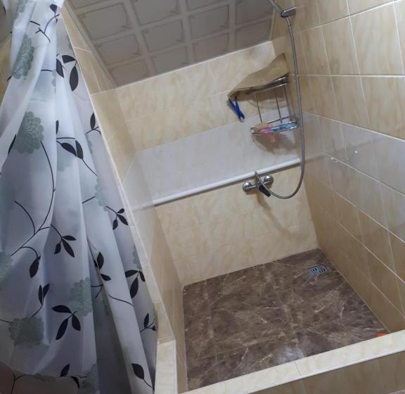 پانسیون Traveller