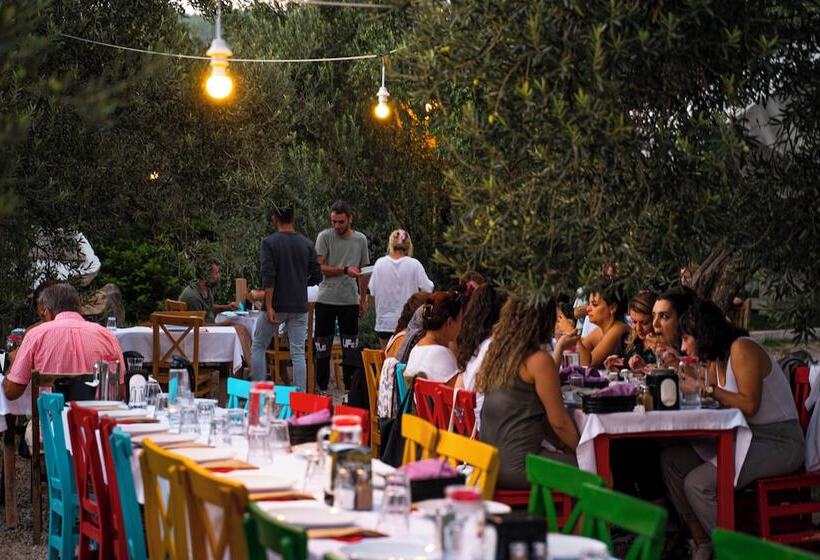 هتل Yiva Kazdağları