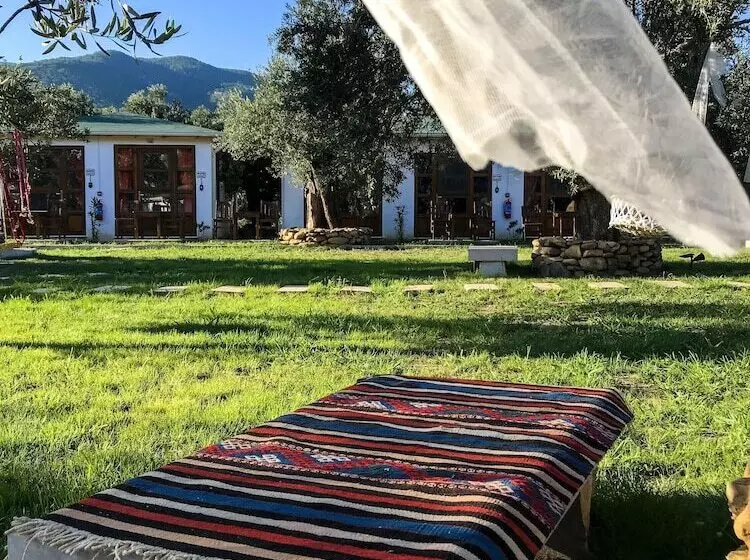 ホテル Yiva Kazdağları