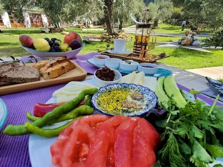 ホテル Yiva Kazdağları