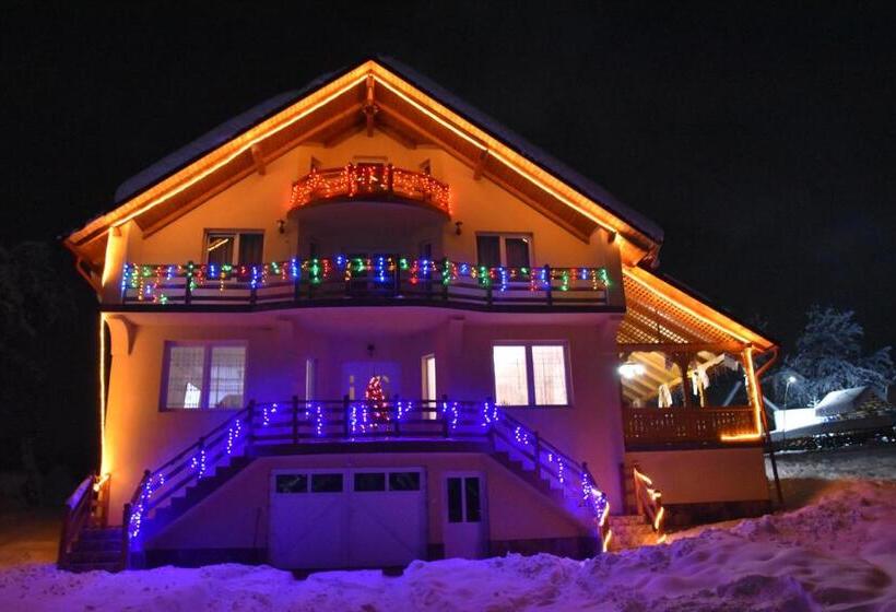 호텔 Pensiunea Maramu