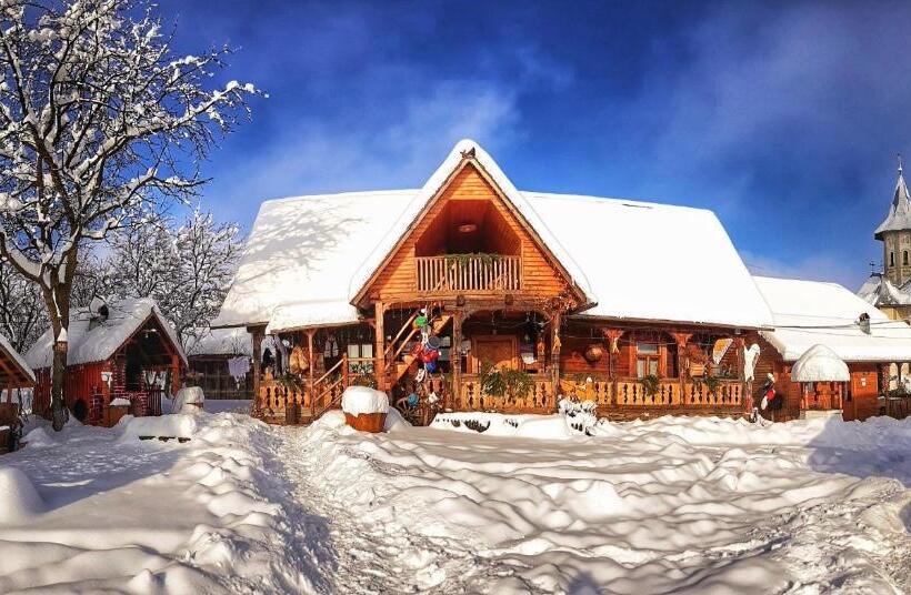 호텔 Pensiunea Maramu