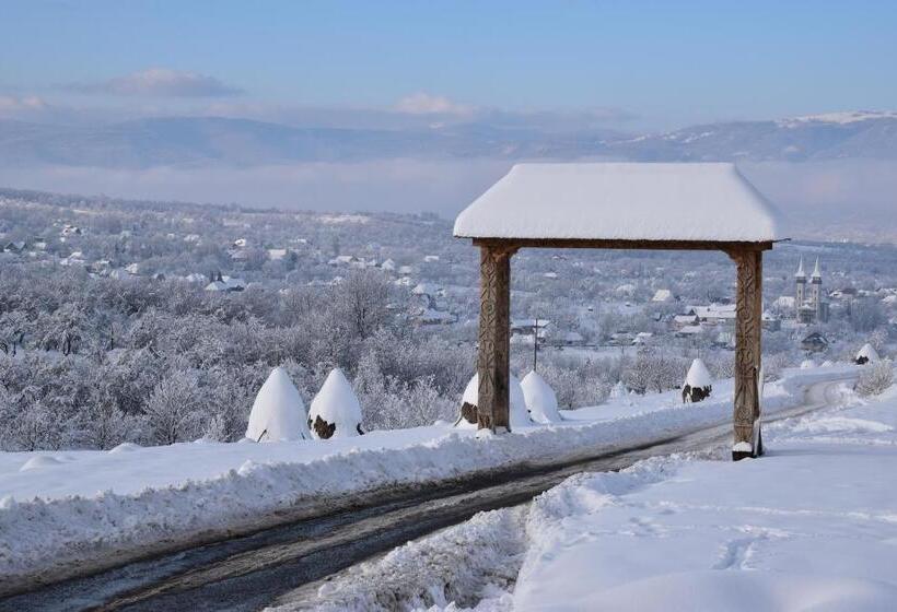 호텔 Pensiunea Maramu