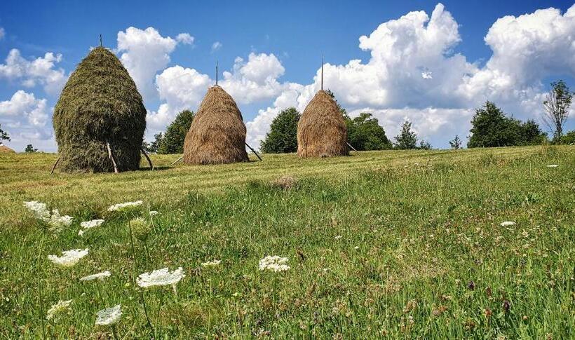 호텔 Pensiunea Maramu