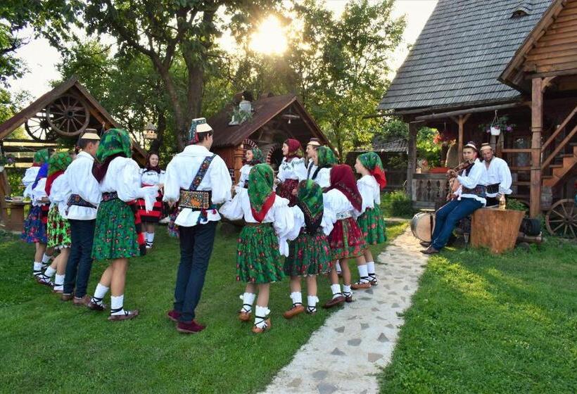 호텔 Pensiunea Maramu