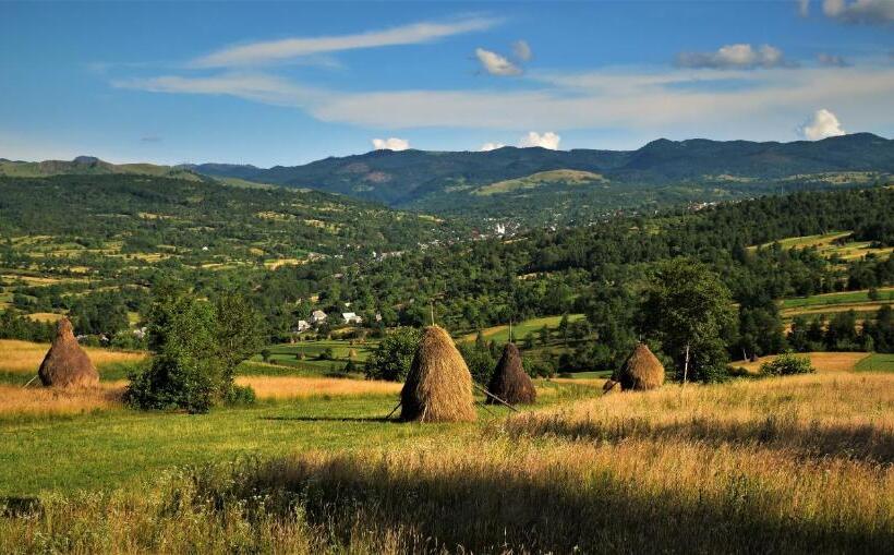 호텔 Pensiunea Maramu