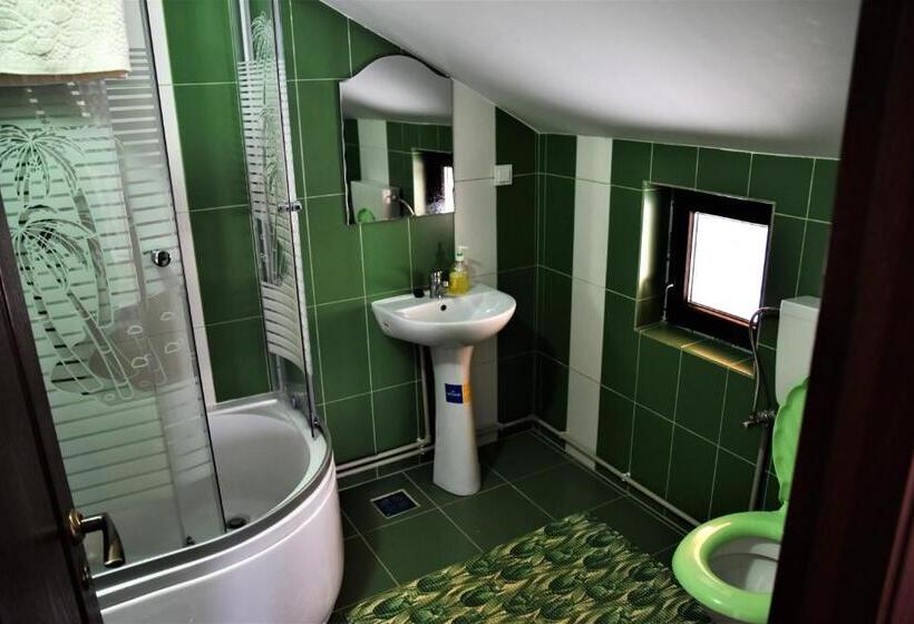 호텔 Pensiunea Maramu