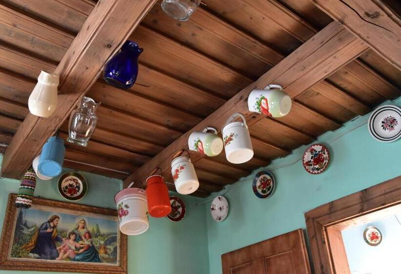 호텔 Pensiunea Maramu