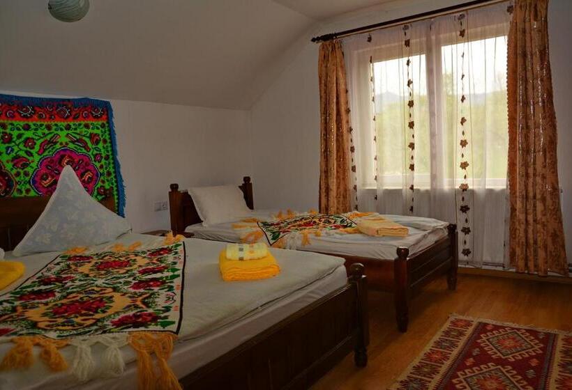 호텔 Pensiunea Maramu