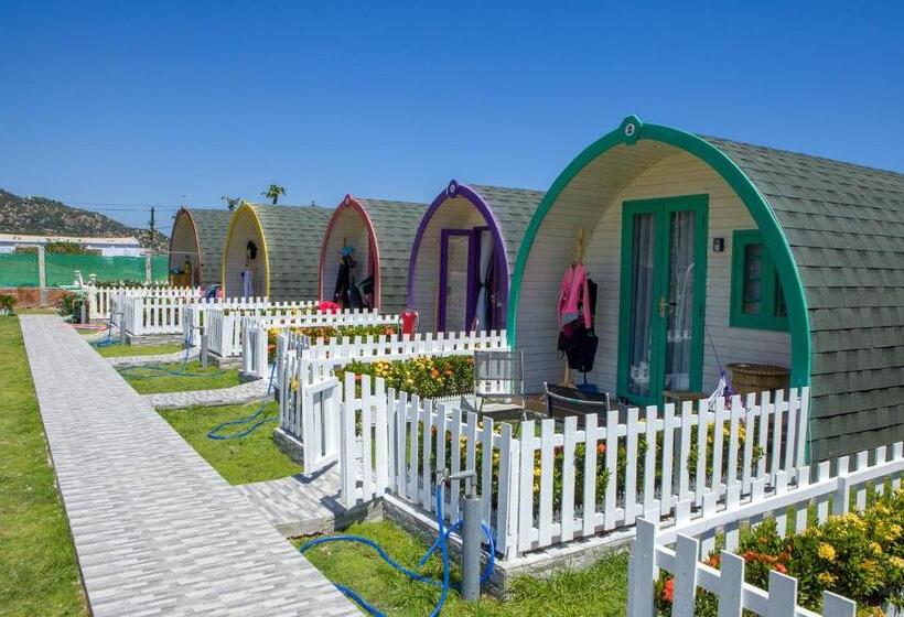 Hotel Phi Kite School