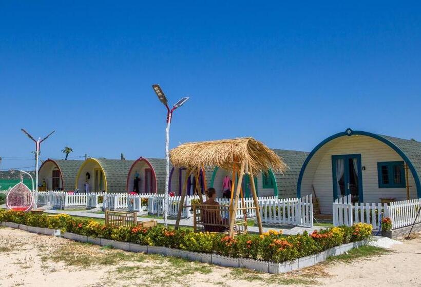 Hotel Phi Kite School