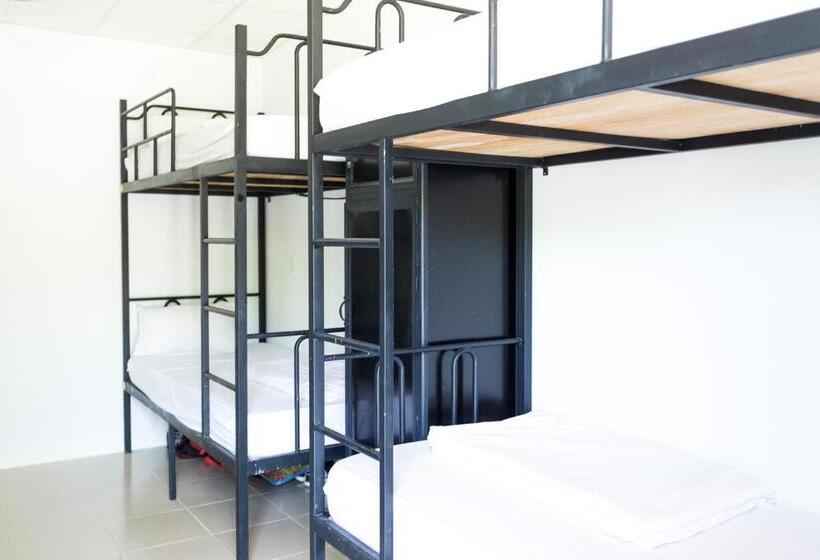 Hotel Phi Kite School