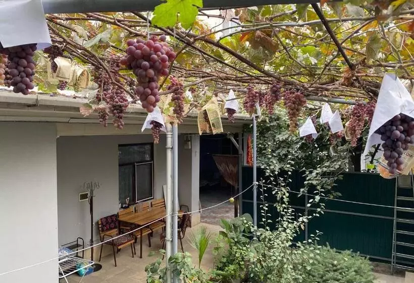 پانسیون Guest House Vip