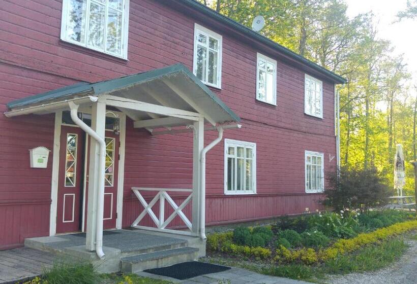 پانسیون Mamma Mia Guest House