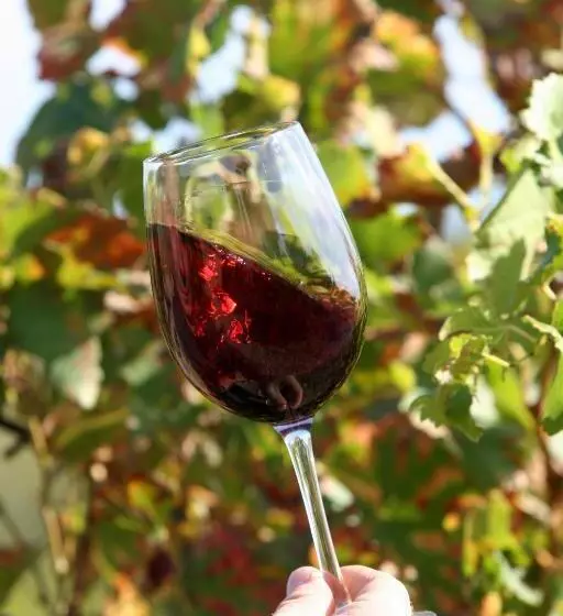 Aamiaismajoitus (B&B) Le Vieux Moulin