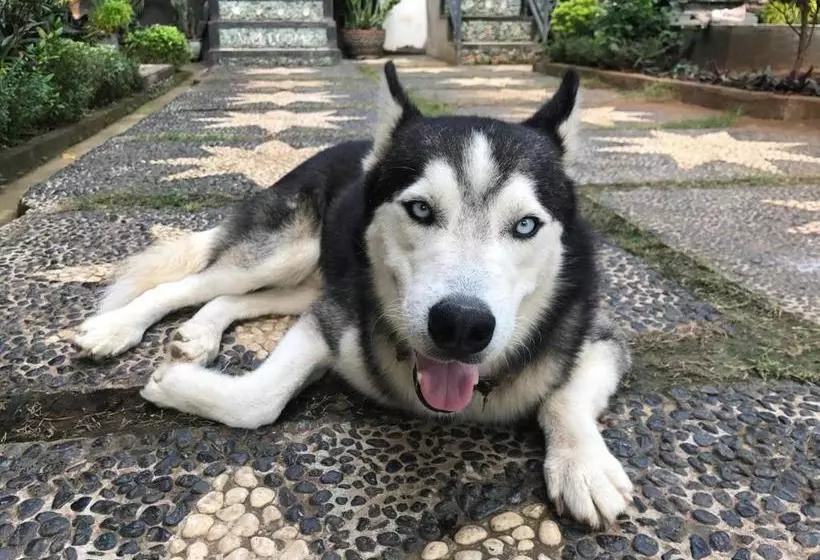 ペンション Murni’s House