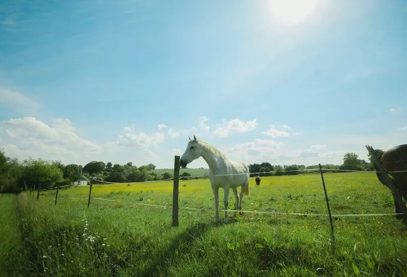 ホテル Les Yourtes à La Ferme Des Epis