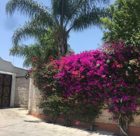 בית מלון כפרי Posada Del Virrey