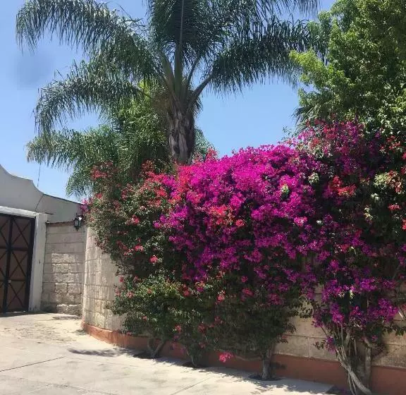 Hotelli Posada Del Virrey