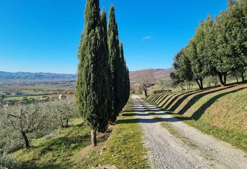 ホテル Relais Palazzo Di Luglio