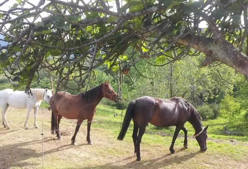 Сельский отель Rural El Espino