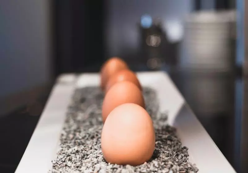 ホテル Amedia Express Graz Airport, Trademark Collection By Wyndham