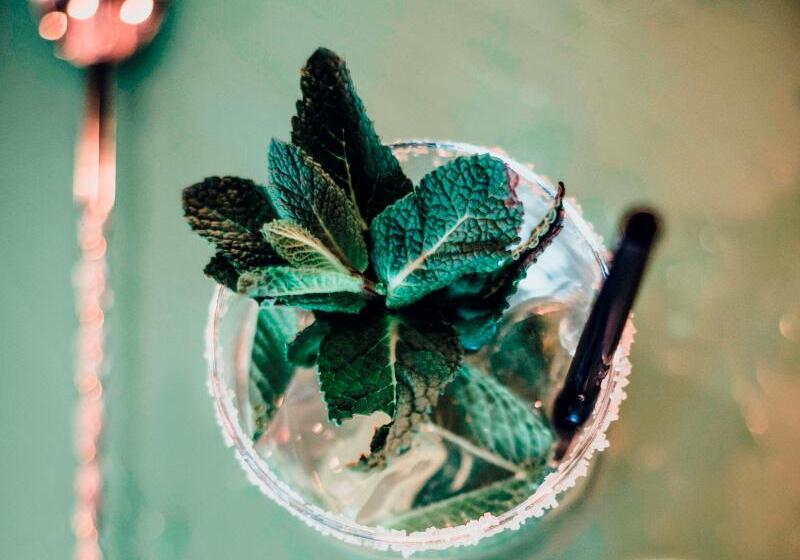 فندق Amedia Express Graz Airport, Trademark Collection By Wyndham