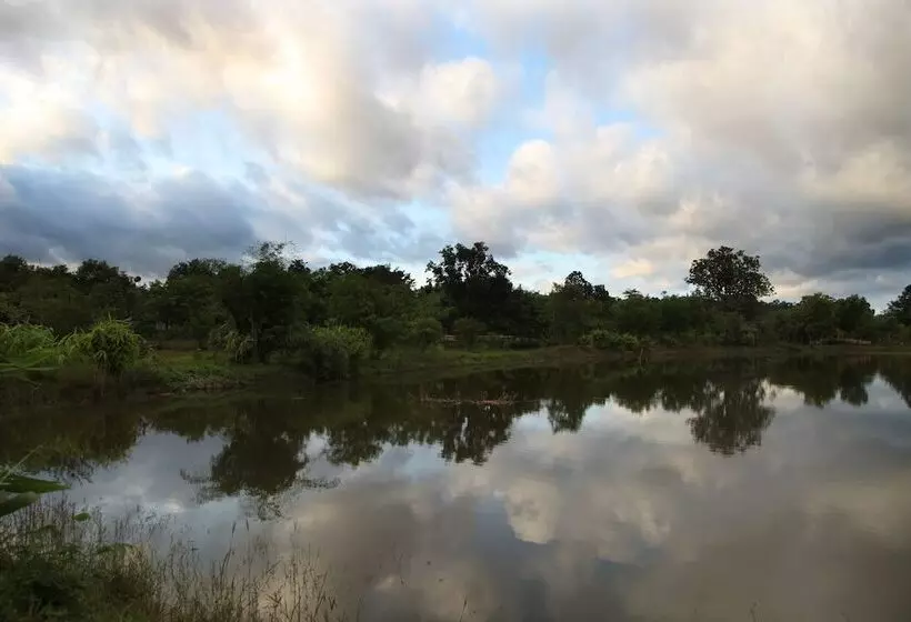 ホテル The Bagh   A Forest Retreat Kanha