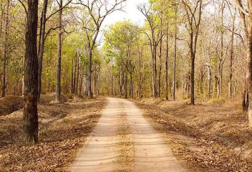 ホテル The Bagh   A Forest Retreat Kanha