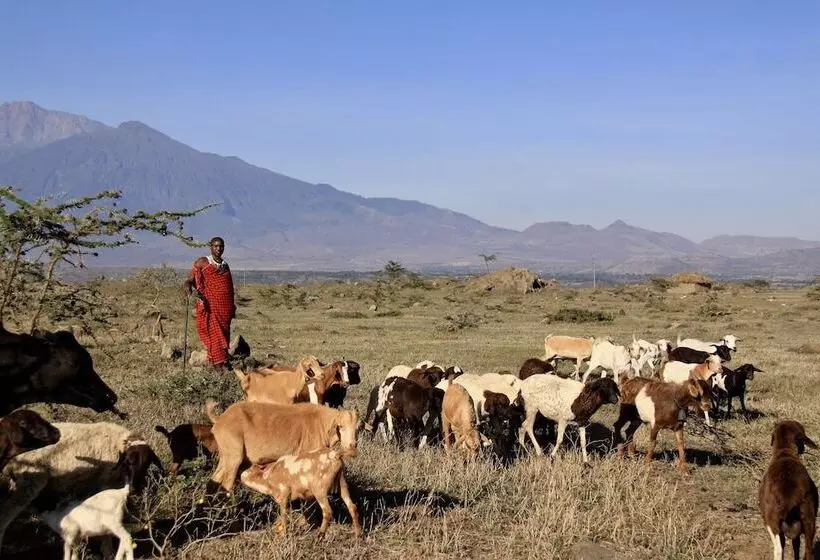 هتل Osiligilai Maasai Lodge