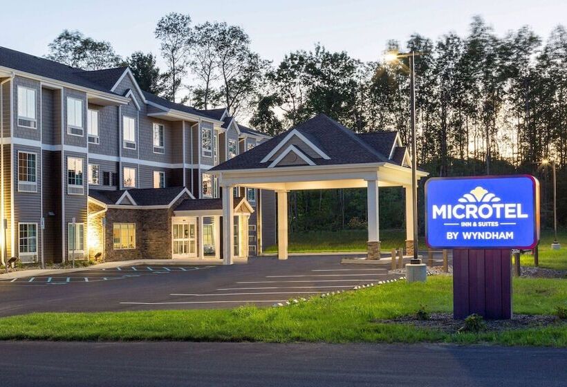 Microtel Inn & Suites By Wyndham Amsterdam