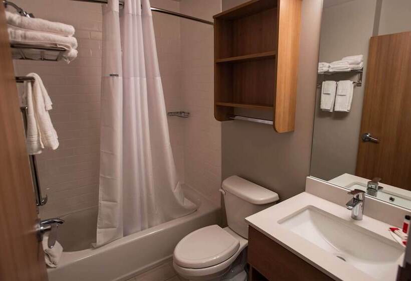 Microtel Inn & Suites By Wyndham Amsterdam