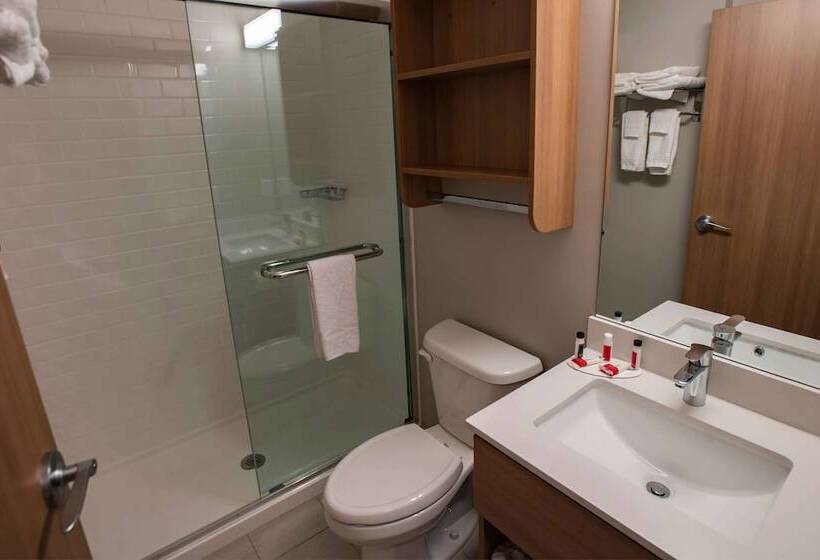 Microtel Inn & Suites By Wyndham Amsterdam