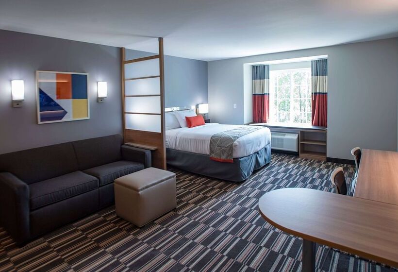 Microtel Inn & Suites By Wyndham Amsterdam
