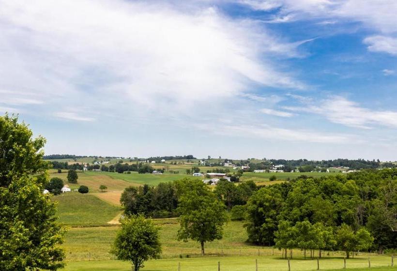 ベッドアンドブレックファースト Hillside Villa Ohio