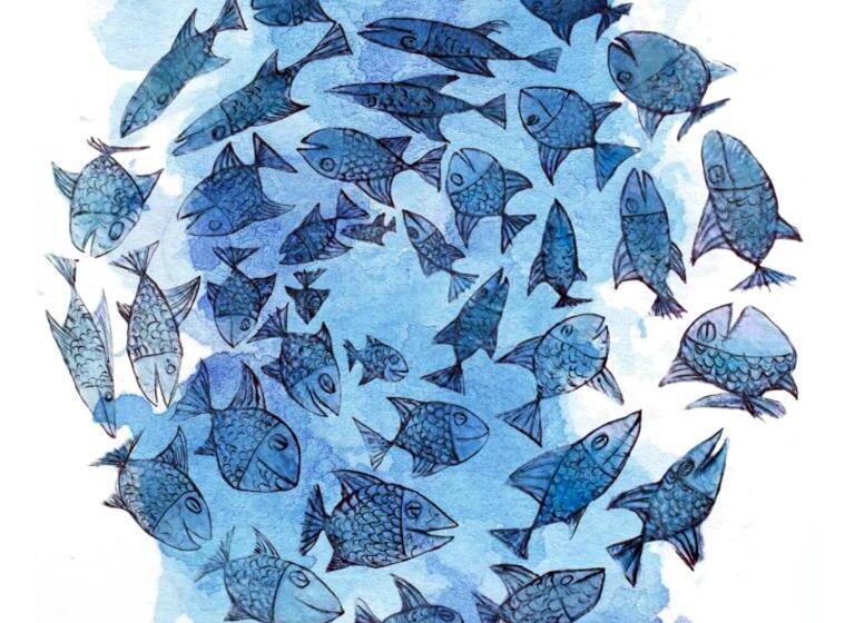 Bed and Breakfast Mare E Marmellata