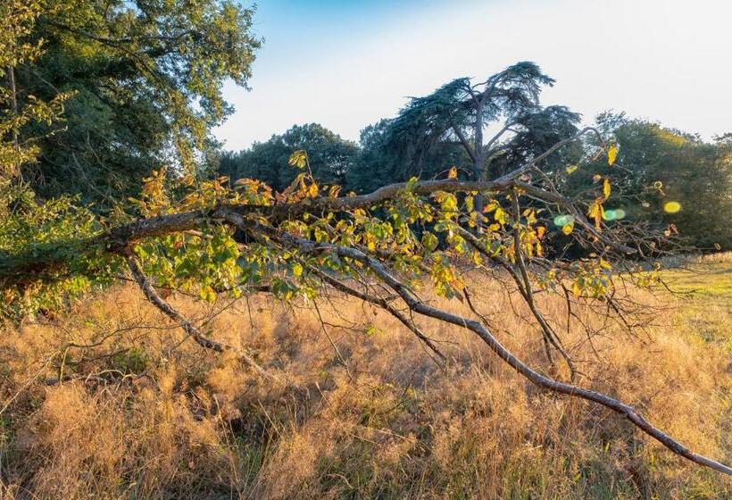 호텔 Chateau De Tresse