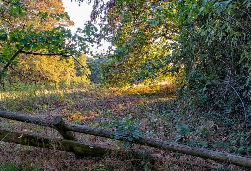 ホテル Chateau De Tresse