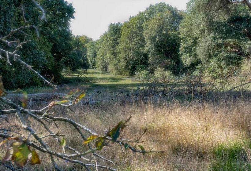 호텔 Chateau De Tresse