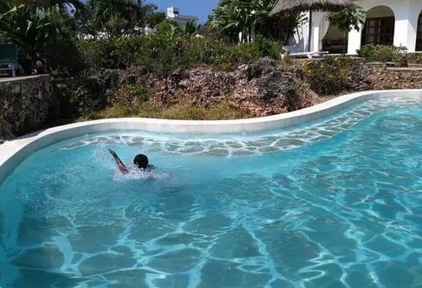 Room In B&b   Kibali Wonerful Bed & Breakfast Resort   Malindi
