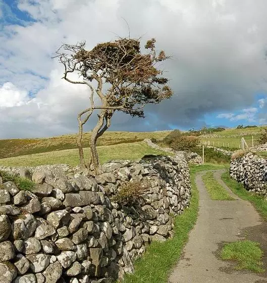 Aamiaismajoitus (B&B) Saint Cadfans Lodge