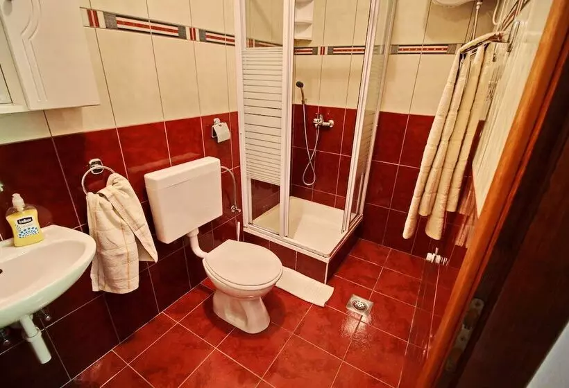پانسیون Apartments Veselka