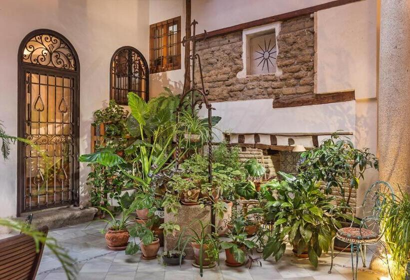 膳宿费 Casa Palacio Rincón De La Catedral