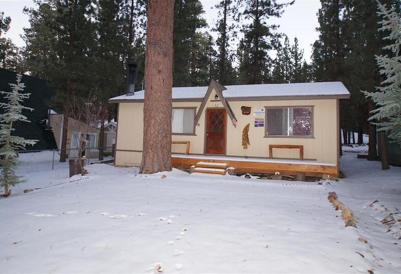 Reality Escape #2466