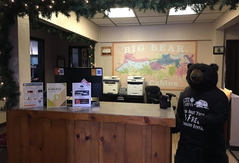 Reality Escape #2466