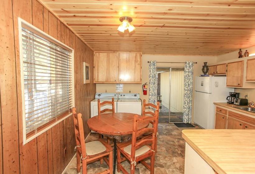 Reality Escape #2466