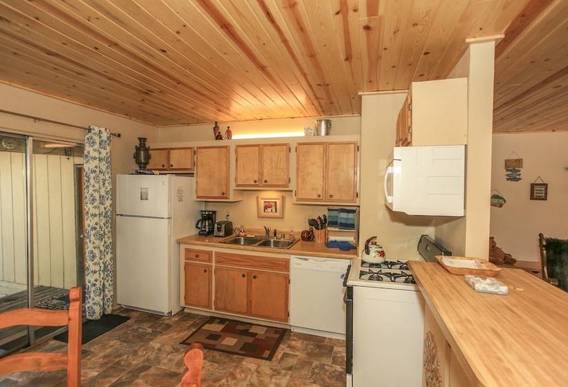 Reality Escape #2466